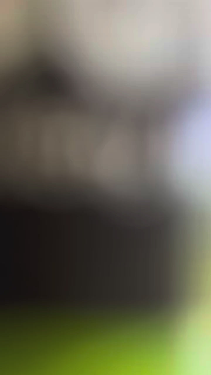 Video alt text