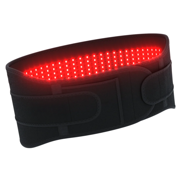 Movtech™ Red Light Belt - Image 11